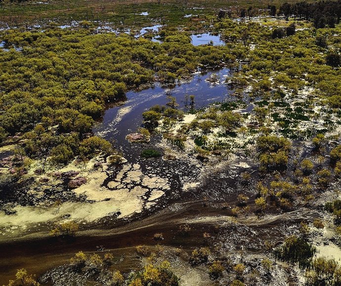 Aerial photo of the Lower Gwydir wetlands in flood