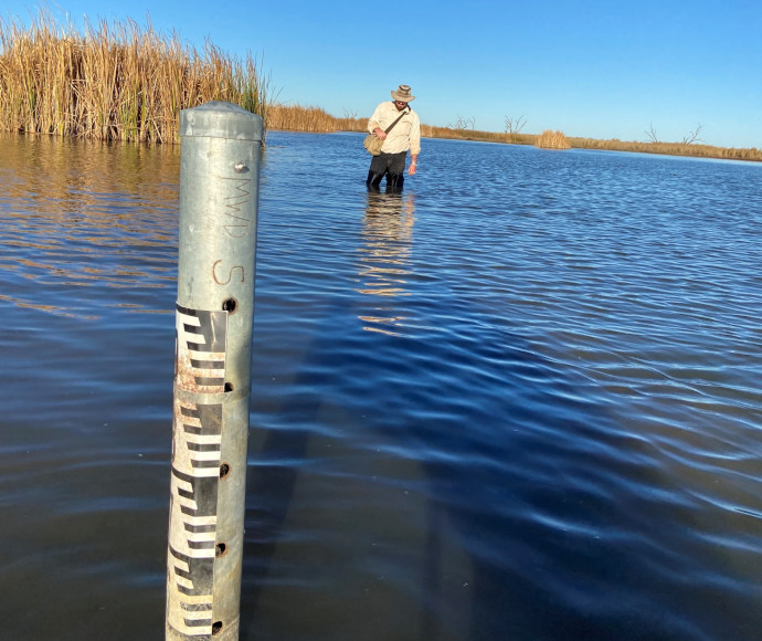 A person fishing in a body of water with clear skies, next to a marked water gauge indicating depth. Tall reeds are visible on the left side.