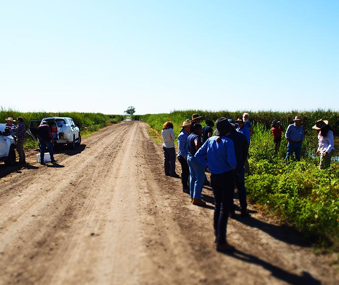 A group of people standing on a dirt road in a rural setting, with fields on either side under a clear blue sky. The group appears to be having an informal meeting or gathering, with some individuals facing each other. Parked vehicles are visible, indicating they traveled to this location.