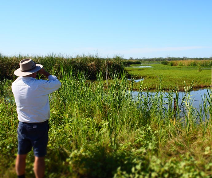 A person in a white shirt and dark shorts, wearing a wide-brimmed hat, stands in a grassy field with tall greenery, looking through binoculars towards a body of water and more greenery in the distance under a clear blue sky. This scene suggests outdoor exploration or bird-watching.