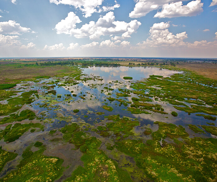 A lagoon in the South Marsh, Macquarie Marshes