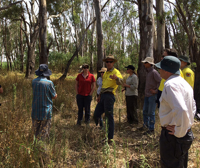 Group photo of the Murray Lower Darling EWAG in a field. The group is standing among tall grass and trees, engaged in an outdoor meeting or field observation.