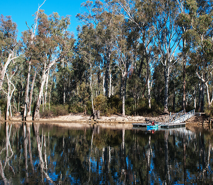 Man in blue kayak next to Edward River Bridge of Murray Valley Regional Park, with trees reflected in water