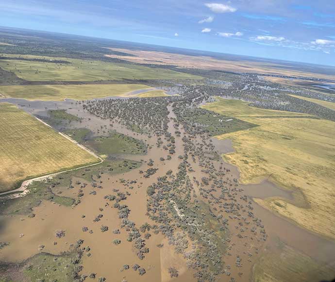 The namoi river floodplain in the distance, with various shades of green vegetation set against a clear blue sky.