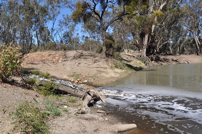 Return flows are the subject of research being conducted in the North Redbank wetland system