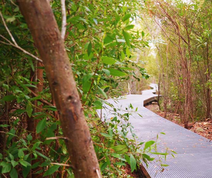 Middle Head walking track