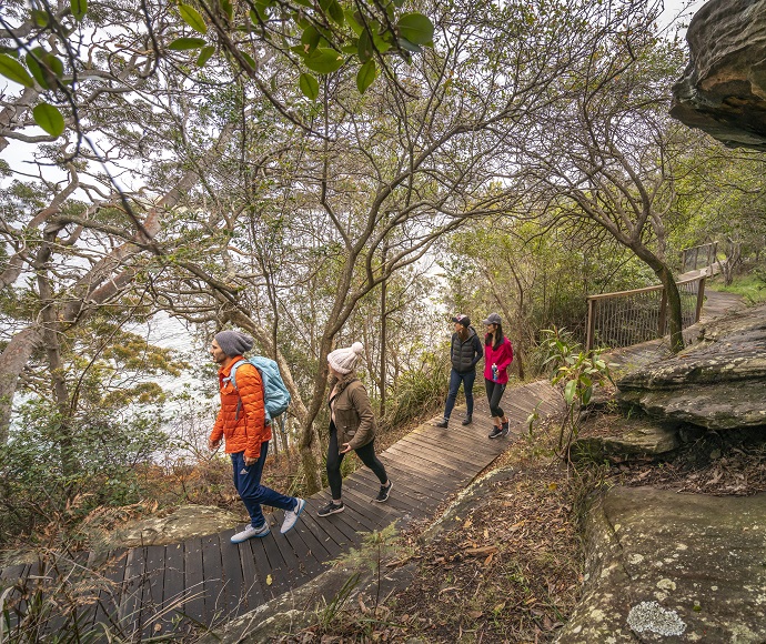 Four people walking along the tree-lined Hermitage Foreshore track, Sydney Harbour National Park