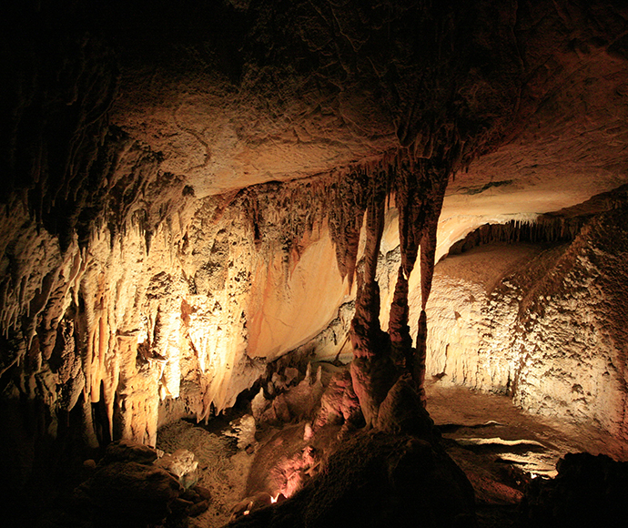 A warm lit cave, with dramatic shadows from typical rock formations in the Wombeyan Karst Conservation Reserve