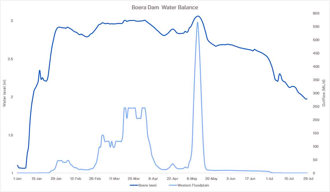 Boera Dam water balance graph 29 July 2024 showing water levels in the western floodplain in blue and in the Boera Dam in black