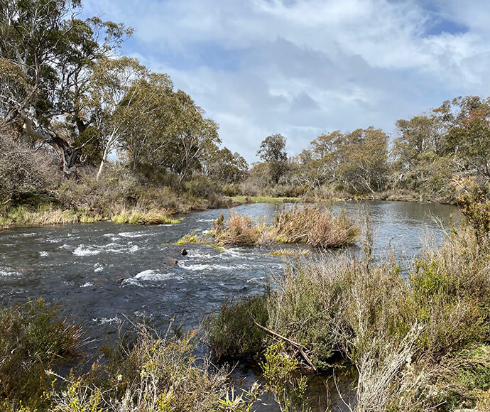 Serene view of the Upper Murrumbidgee River with small rapids, surrounded by lush vegetation and trees under a partly cloudy sky.