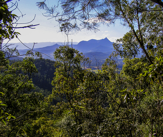 View to Mount Warning