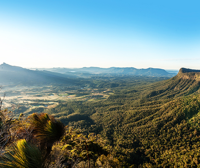 View from the Pinnacle Lookout across the Caldera to Wollumbin-Mount Warning