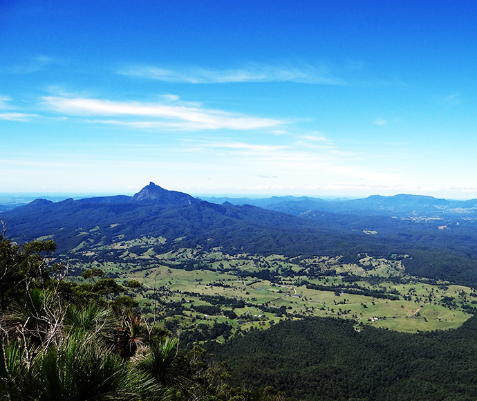 Wollumbin National Park from The Pinnacle