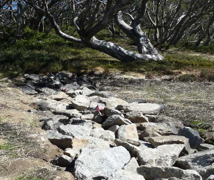 An artificial boulder crossing in Kosciuszko National Park, featuring large, natural-looking boulders arranged to create a pathway over a stream, surrounded by native vegetation