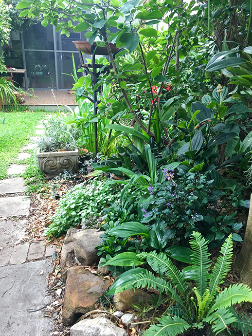 Lush garden with vibrant green foliage, ferns, and purple flowers. A stone path and birdbath create a serene, inviting atmosphere.