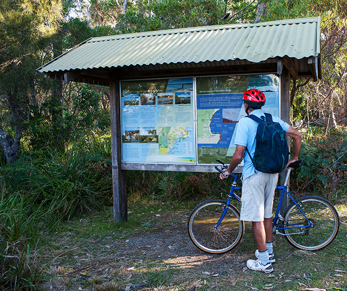 Scenic view of the Walter Hood Cycle Track winding through the dense forest of Bendalong Conjola National Park, NSW.