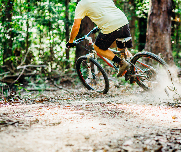 Muurlay Baamgala Cycle Trails weaving through the dense forest of Bongil Bongil National Park, NSW.