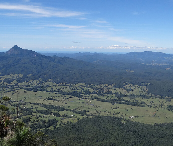 View from Pinnacle Lookout in Border Ranges National Park, featuring the lush, World Heritage-listed rainforest, the crater escarpment, and Wollumbin (Mount Warning) under a clear sky.