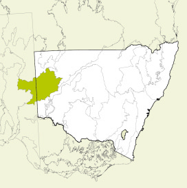 Map of New South Wales, Australia, highlighting the Broken Hill Complex bioregion bioregion in green. The rest of the state is shown in white, with some geographical features like rivers and mountain ranges outlined.