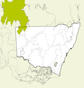 Map of New South Wales, Australia, highlighting the Channel Country bioregion in green. The rest of the state is shown in white, with some geographical features like rivers and mountain ranges outlined.