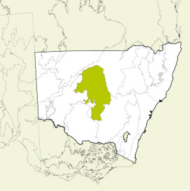 Map of New South Wales, Australia, highlighting the Cobar Peneplain bioregion in green. The rest of the state is shown in white, with some geographical features like rivers and mountain ranges outlined.