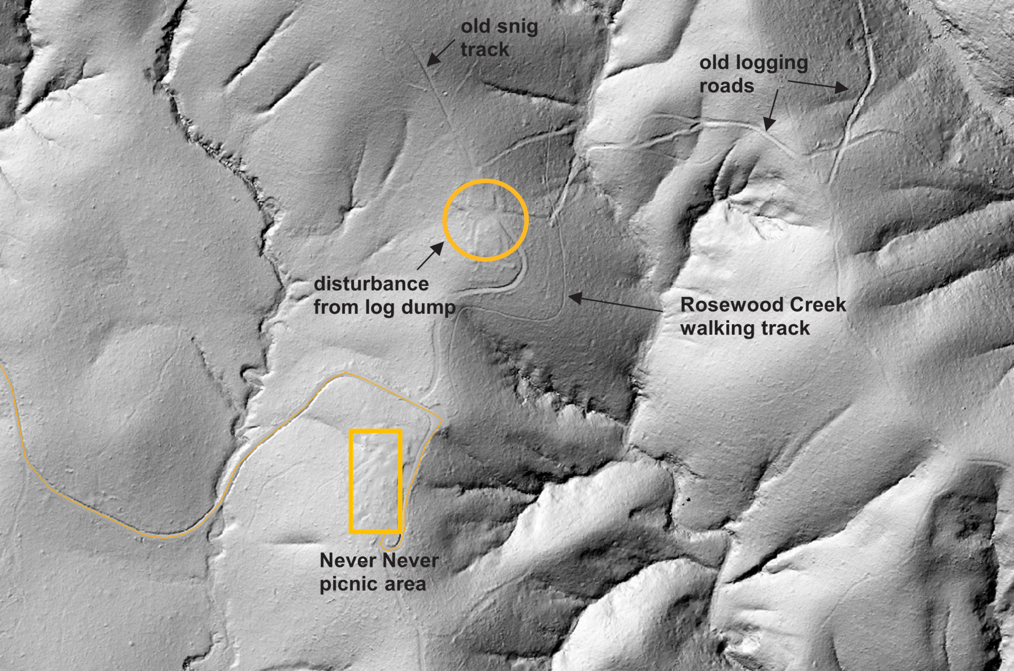 LiDAR image showing benching and ground disturbance from old logging trails near Never Never picnic area