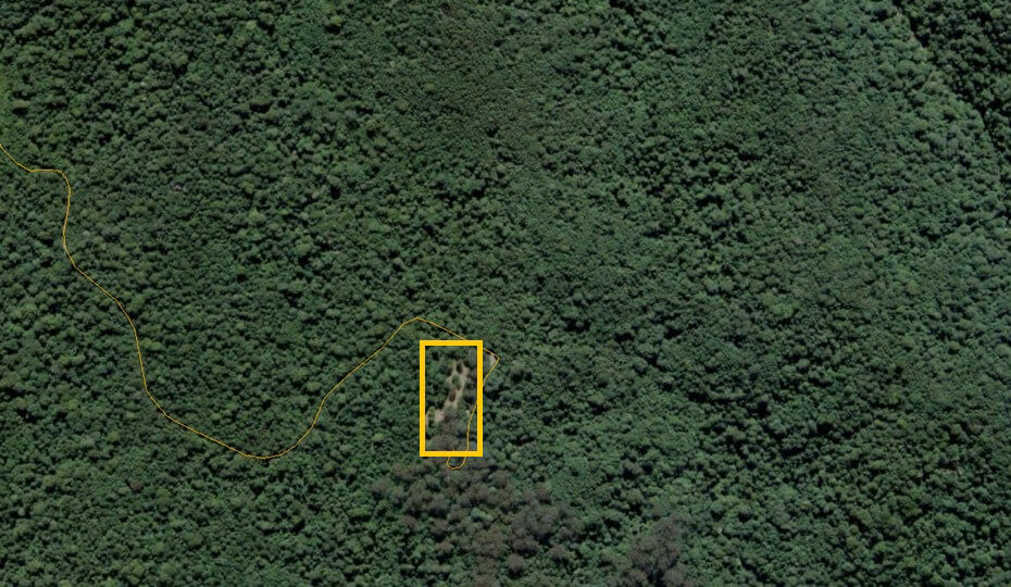 Satellite image showing benching and ground disturbance from old logging trails near Never Never picnic area