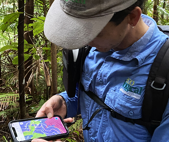 Staff from Eco Logical Australia holding a smartphone to review the walk route