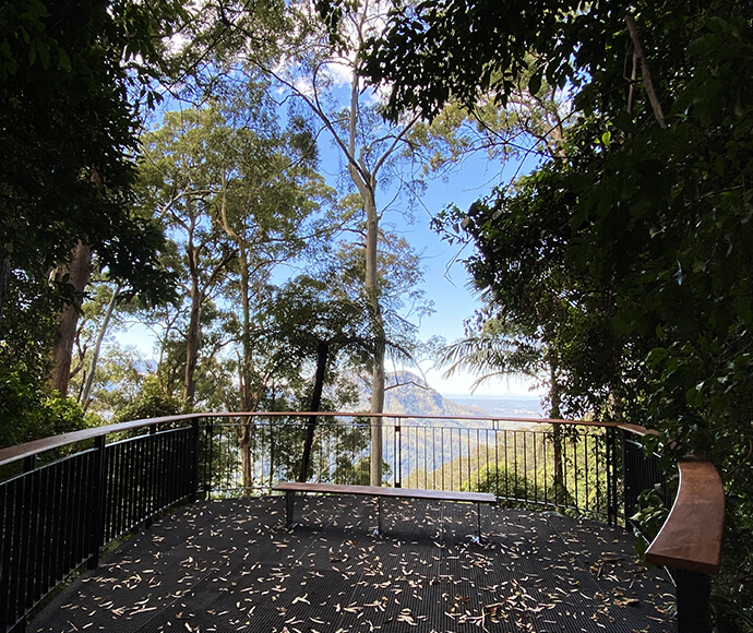 Viewing platform at Dorrigo National Park, offering a panoramic view of the lush rainforest.