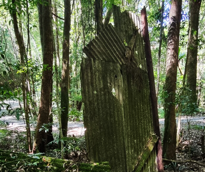 Old hut on Dome Road at Dorrigo National Park, surrounded by dense forest.