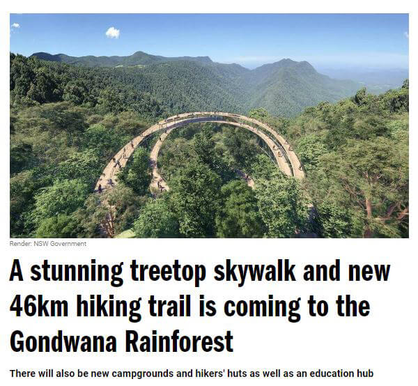 Screenshot of Time Out article titled "A stunning treetop skywalk and new 46km hiking trail is coming to the Gondwana Rainforest"