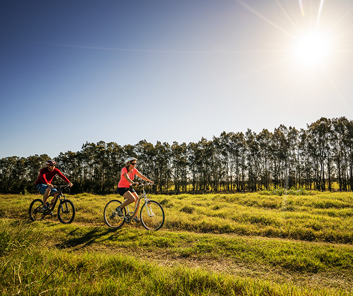 Cyclist riding along a trail through the wetlands of Everlasting Swamp National Park, NSW.