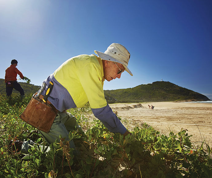 Two individuals are working on a beach, focusing on removing or tending to vegetation. The person in the foreground is wearing a wide-brimmed hat, a high-visibility yellow and blue shirt, and has a tool belt with tools. The person in the background is also working with the vegetation. The beach is sandy with a clear blue sky and a hill covered in greenery in the background.