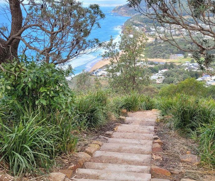 Ocean glimpsed through trees, from high up on the steps of the Bald Hill Track.