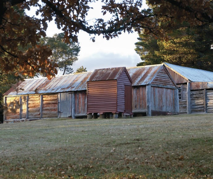 Rustic wooden cabins with corrugated metal roofs sit in a serene, grassy field. Framed by autumn leaves, the scene exudes a peaceful countryside charm.