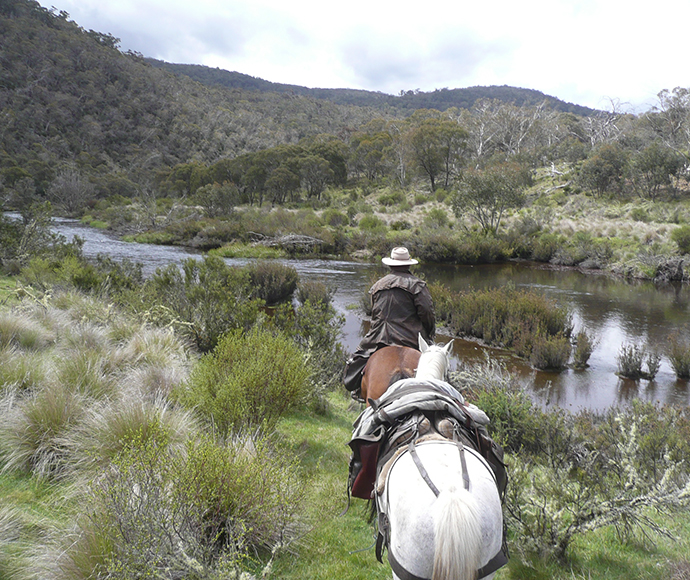 Rider on horseback crossing a creek in Kosciuszko National Park, NSW, accompanied by a packhorse. The scene features a clear, flowing creek surrounded by lush greenery and tall trees, with the rider and horses navigating the natural terrain under a bright, sunny sky.