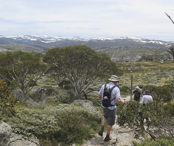 A view of Porcupine track, Perisher, Kosciuszko National Park