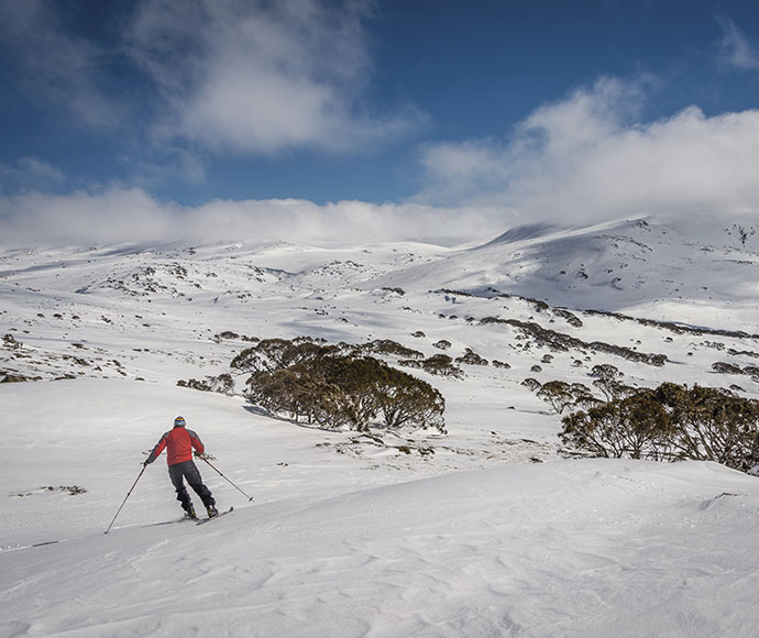 A view from behind of a skier wearing a bright red jacket and black ski pants, gracefully navigating the snowy slopes of Perisher snowfield in Kosciuszko National Park. The scene captures the pristine white snow and majestic mountains under a clear blue sky, embodying the thrill of winter sports.