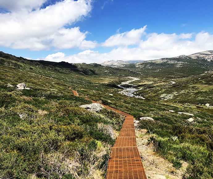 A view of the the Guthega to Charlotte Pass Track looking out towards the Main Range and the headwaters of the Snowy River.