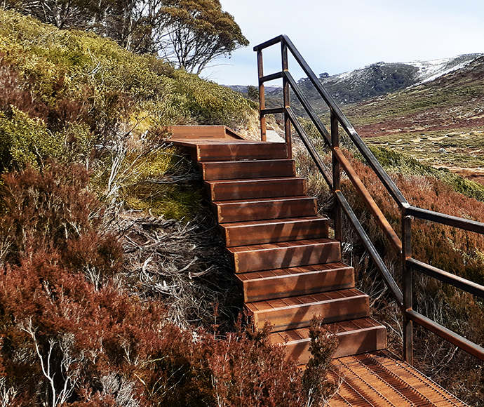 A view of steps on the Guthega to Charlotte Pass track.