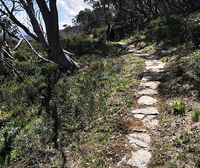 A view of rock paving on stage 2 of the Snowies Iconic Walk