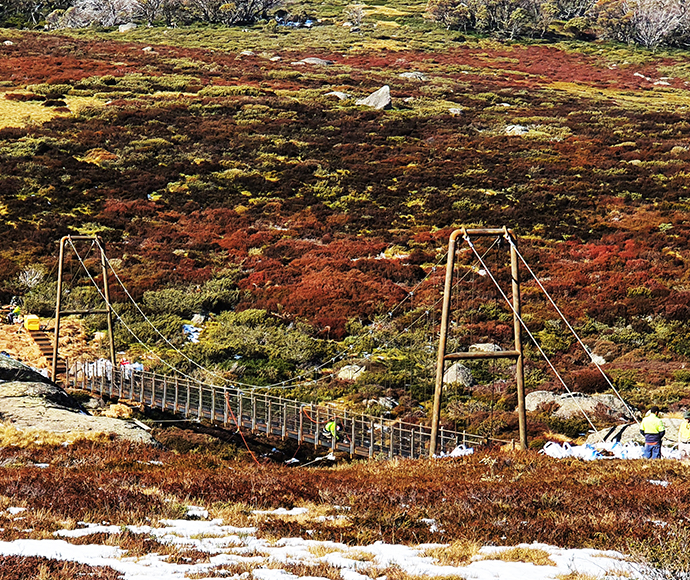 A view of the Spencers Creek bridge under construction