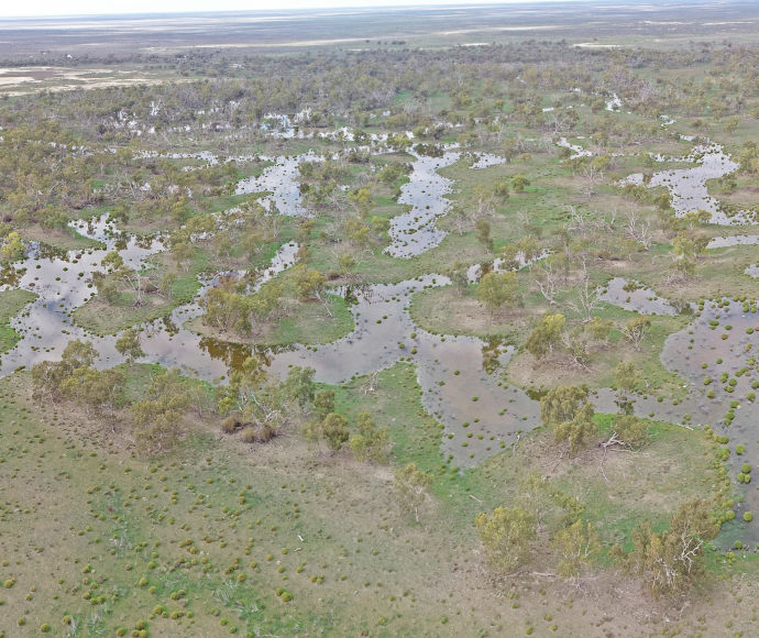 Landscape spanning out that is very flat with clusters of plants dotted across the valley with water separating them. 