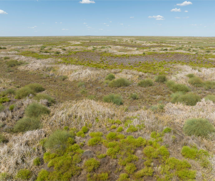 Merrowie Creek floodplain with pooling water scattered across the landscape.