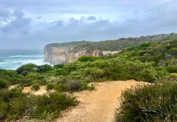 Sandstone cliffs along coastline near ocean with low heath vegetation and sandy track at Malabar Headland.