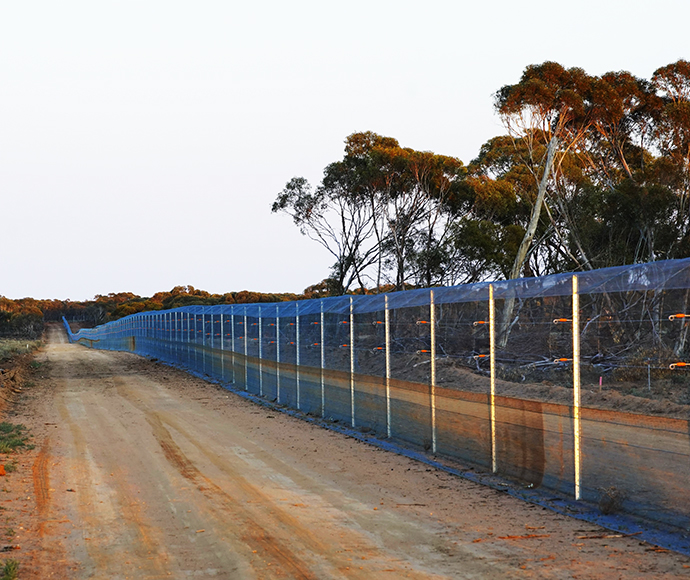 High wire fence running along a long length of red, dirt road. 