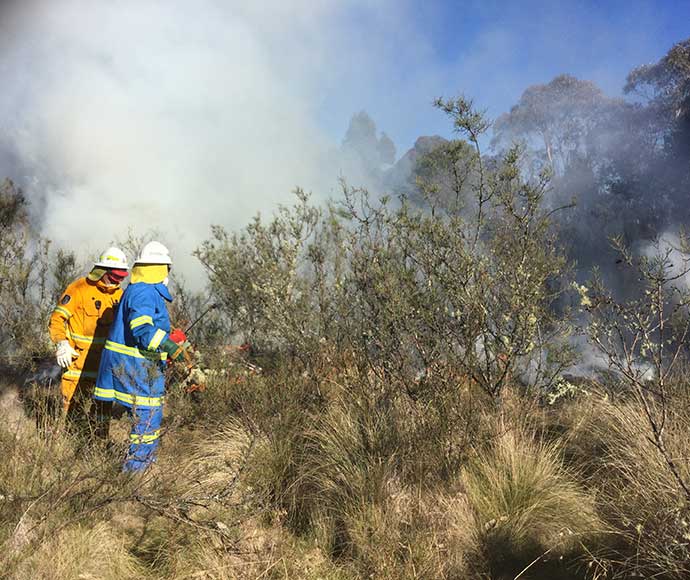 An Aboriginal ranger conducts a cultural burn at Mogo, surrounded by eucalyptus forest. The controlled burn, part of traditional land management, is conducted carefully to clear undergrowth, promote biodiversity, and maintain the health of the ecosystem, highlighting cultural practices.