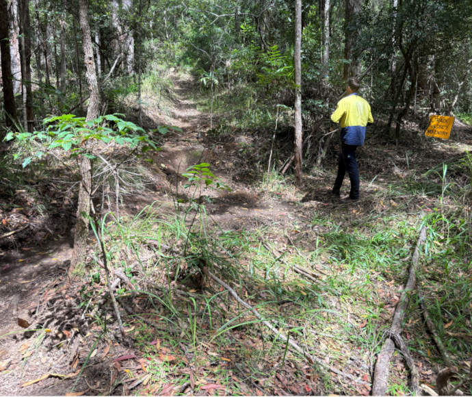 New section junction on the Gidjuum Gulganyi Walk in Mount Jerusalem National Park, featuring a well-marked trail intersection surrounded by dense forest.