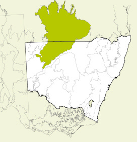 Map of New South Wales, Australia, highlighting the Mulga Lands bioregion in green. The rest of the state is shown in white, with some geographical features like rivers and mountain ranges outlined.