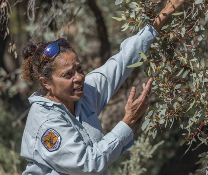 An Aboriginal ranger presents a guided tour in Mungo National Park, with a lush green landscape stretching into the background. The ranger is part of a guided cultural heritage tour, highlighting the area’s deep Aboriginal significance and connection to Country.